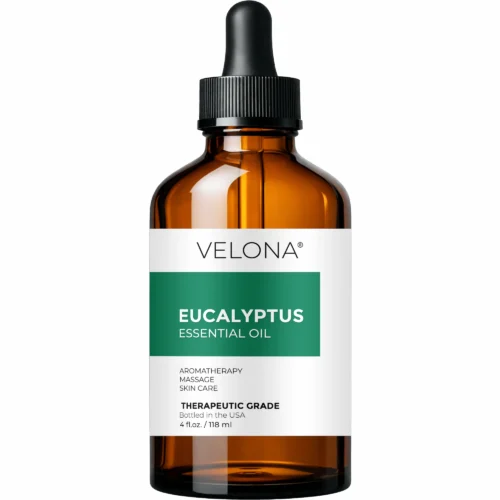 Eucalyptus Essential Oil